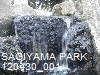 SAGIYAMA MEMORIAL PARK 120430_001