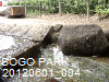 SOGO PARK 120601_004